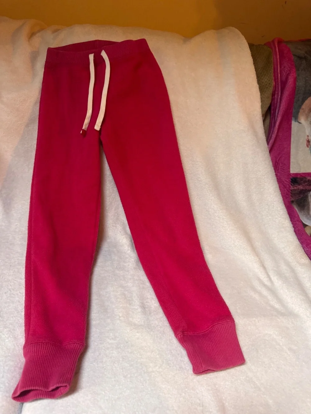 GAP bright fuchsia
